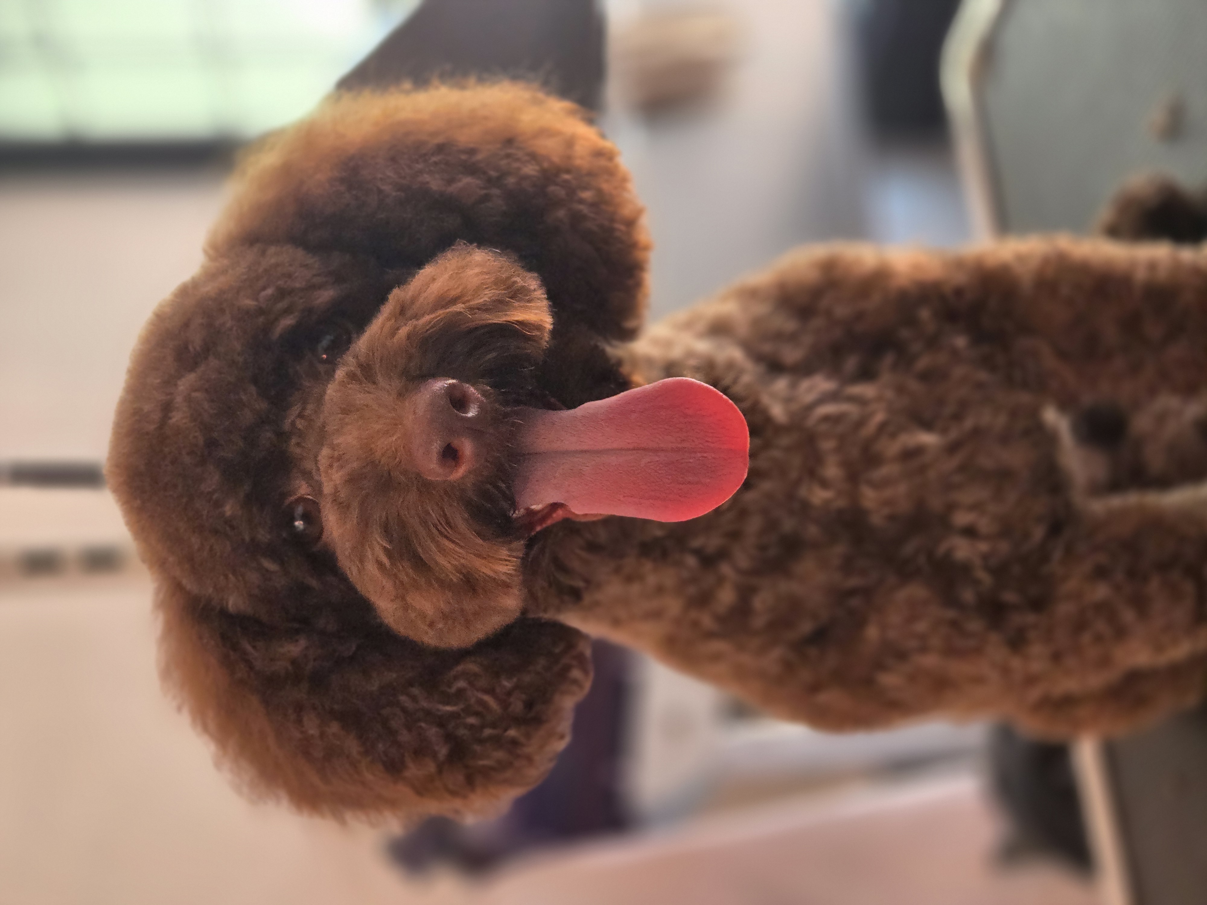 Corte estético personalizado